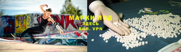ПСИЛОЦИБИНОВЫЕ ГРИБЫ Нея
