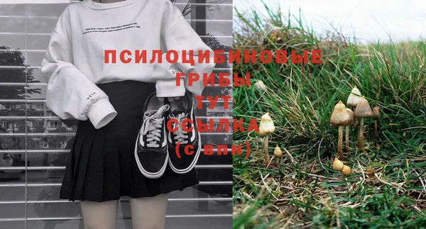 MESCALINE Новодвинск