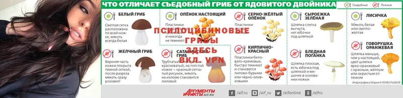 Галлюциногенные грибы мицелий  hydra ссылка  Инсар 