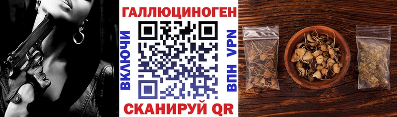 Галлюциногенные грибы Magic Shrooms  где купить наркоту  Инсар 